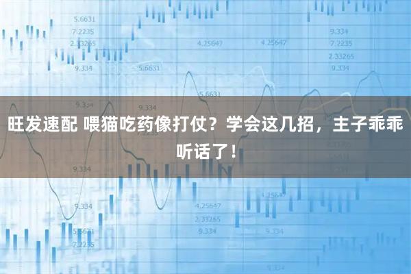 旺发速配 喂猫吃药像打仗？学会这几招，主子乖乖听话了！