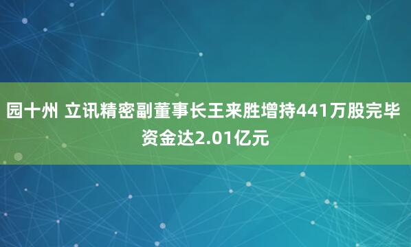 园十州 立讯精密副董事长王来胜增持441万股完毕 资金达2.01亿元