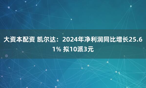 大资本配资 凯尔达：2024年净利润同比增长25.61% 拟10派3元