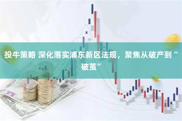 投牛策略 深化落实浦东新区法规，聚焦从破产到“破茧”